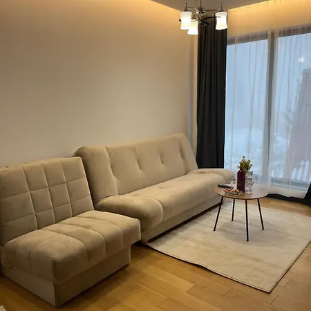Winter House Apartment *