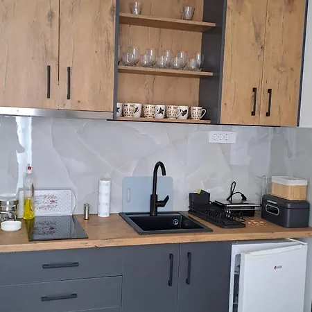 Apartament Winter House Kopaonik