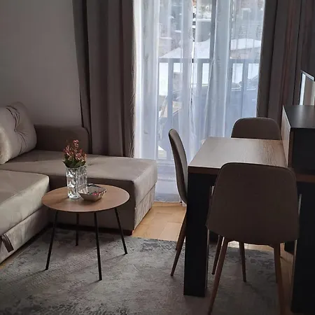 Apartment Winter House