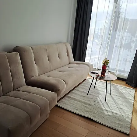 Winter House Apartment